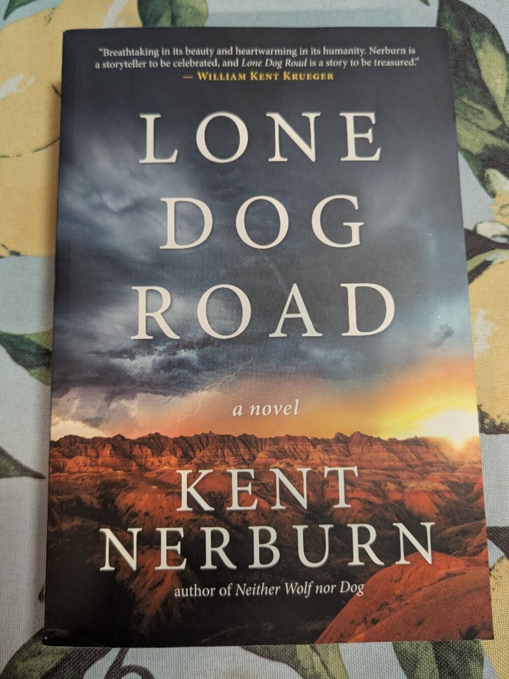 Lone Dog Road by Kent Nerburn